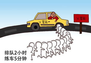 駕培行業惡疾纏身 駕盟助力駕校逢兇化吉